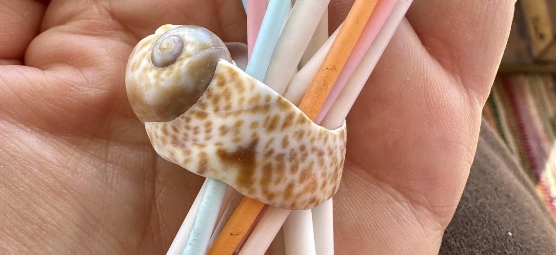 Palitos de plástico de piruletas recogidos en la playa, sostenidos por una mano junto a una caracola.