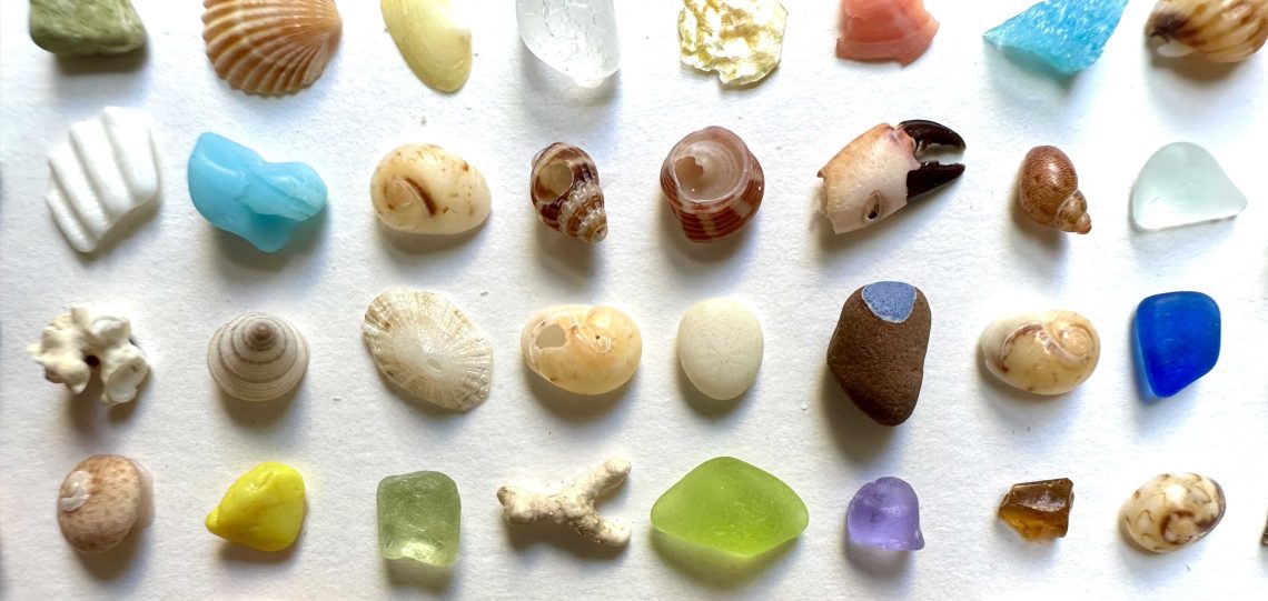 Fragmentos marinos de colores en primer plano de la obra 441